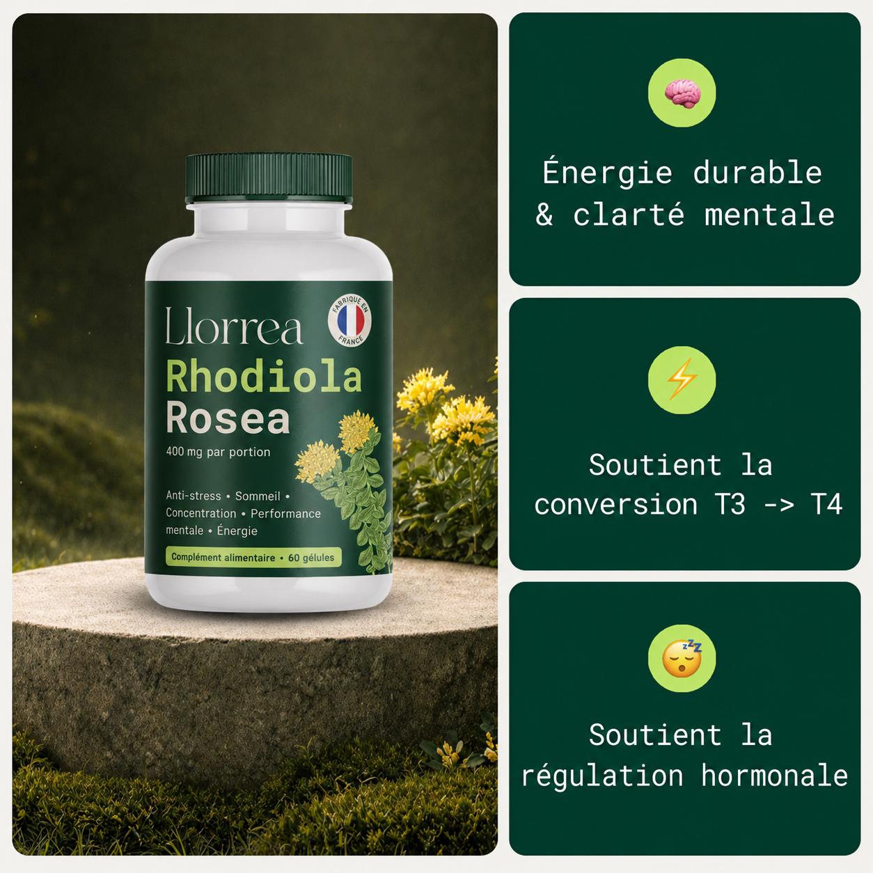 Rhodiola Rosea - Adaptogène naturel fabriqué en France [400 mg]
