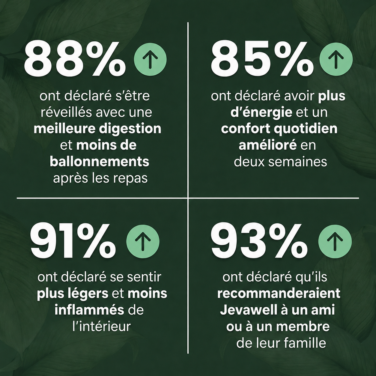Gommes probiotiques au kombucha pour le soutien digestif