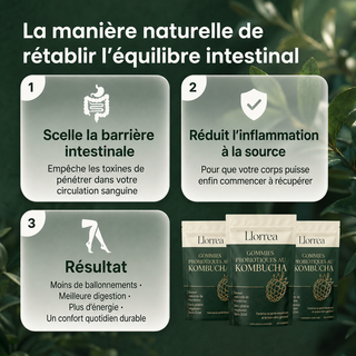 Gommes probiotiques au kombucha pour le soutien digestif