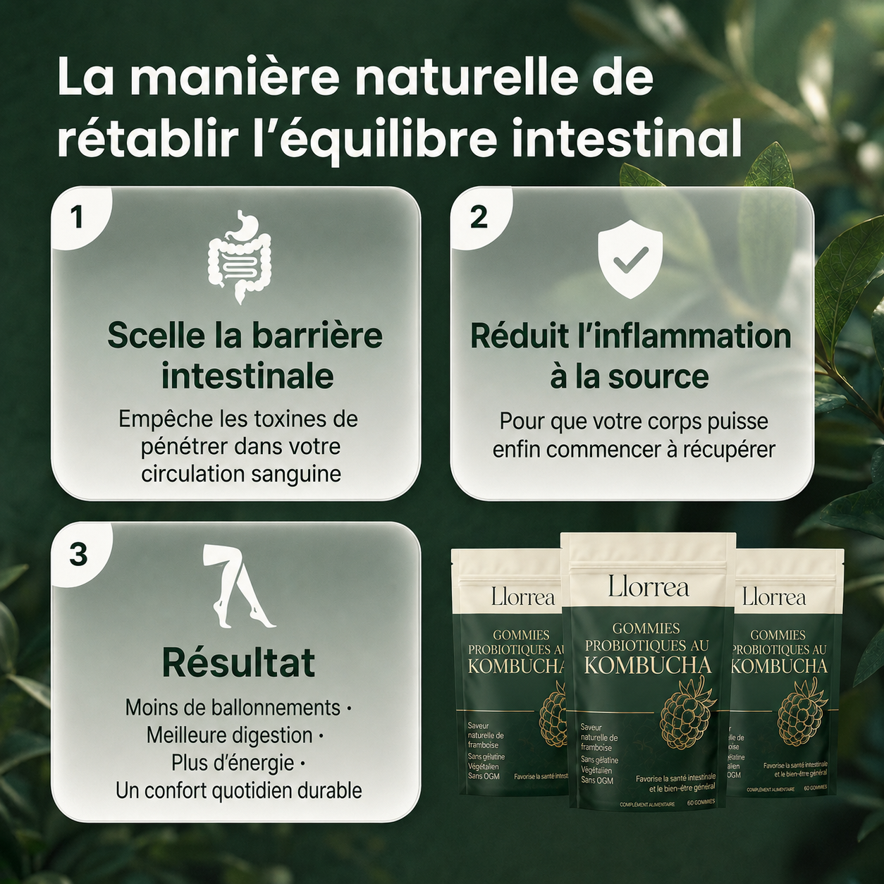 Gommes probiotiques au kombucha pour le soutien digestif