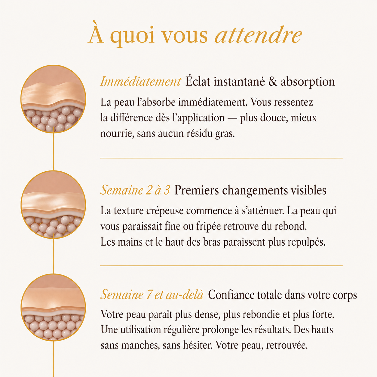 Huile corps aux actifs botaniques