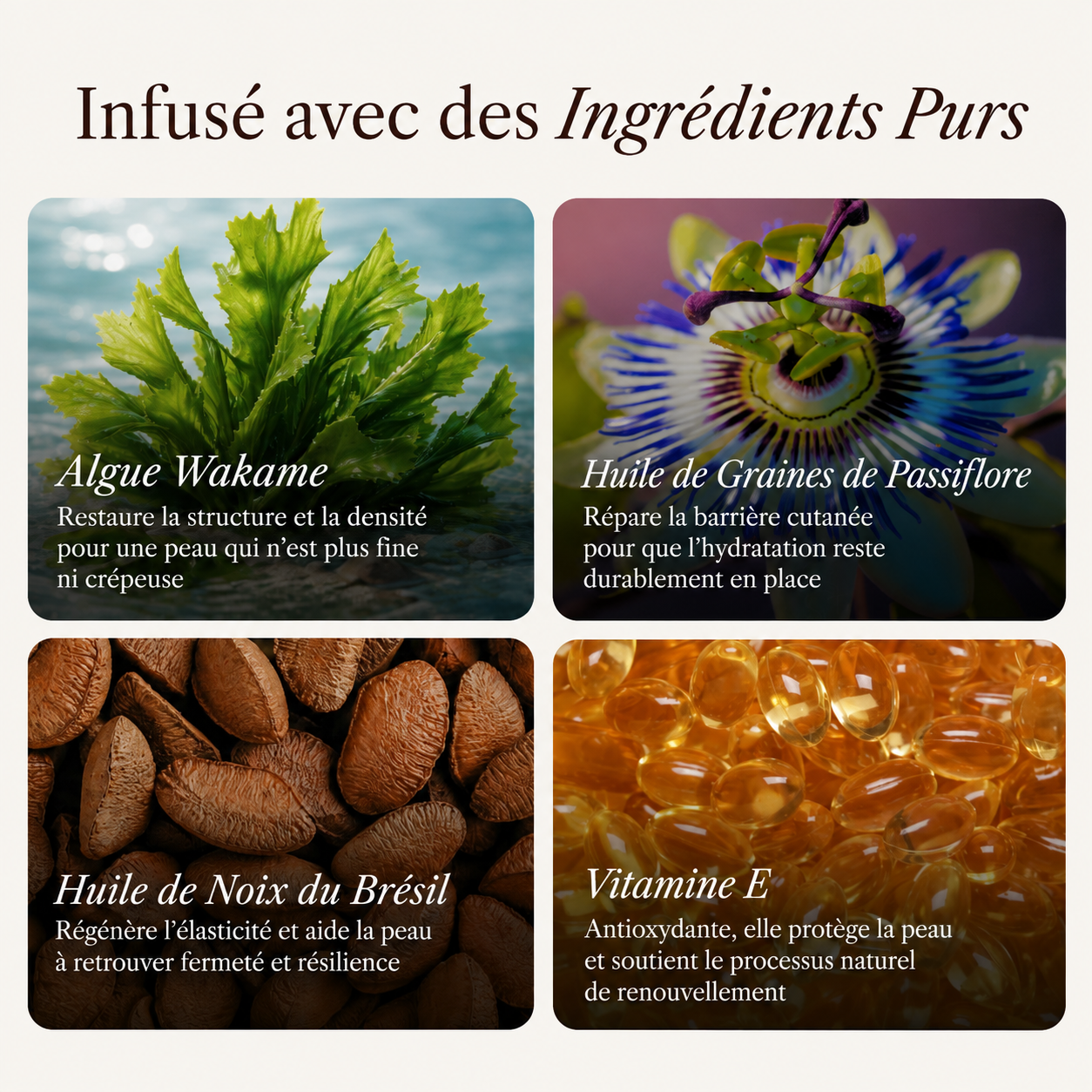 Huile corps aux actifs botaniques