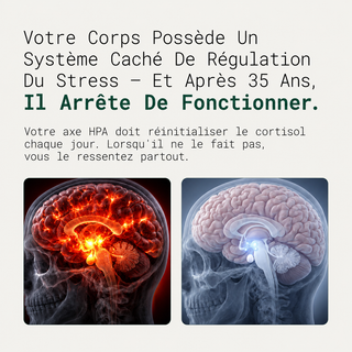 Vivance™ 2