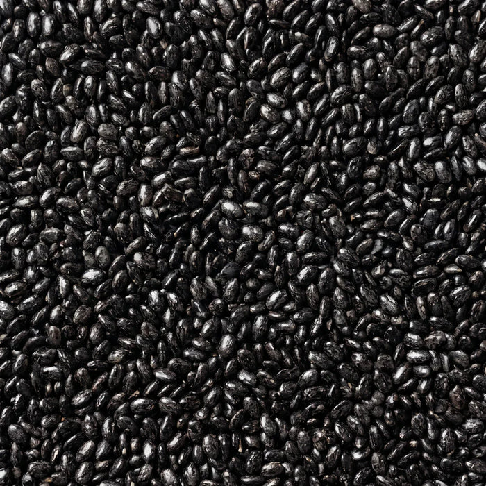 Huile de nigelle (cumin noir)